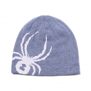 Chlapecké Čepice Spyder Reversible Bug Beanie Blankyt | JNIDFP378