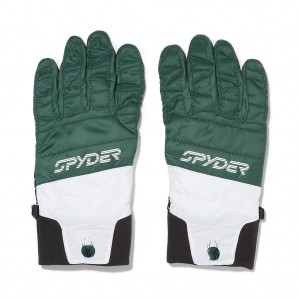Pánské Rukavice Spyder Venom Šedé Zelene | ZPTCOL410