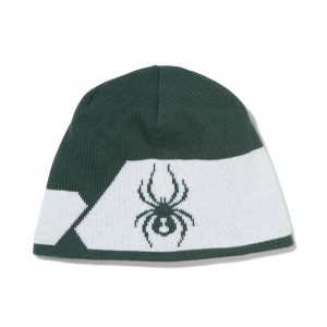 Pánské Čepice Spyder Shelby Beanie Šedé Zelene | AJFKHN519